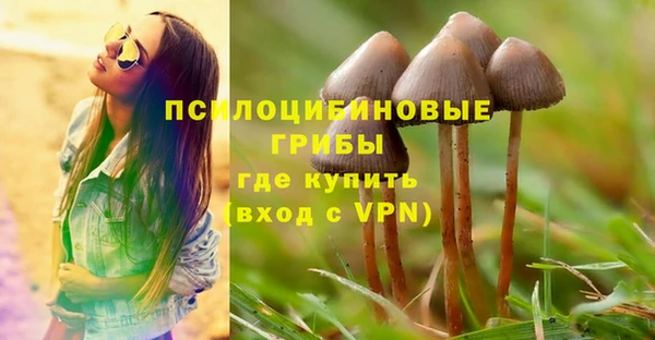 молекула духа Алексеевка