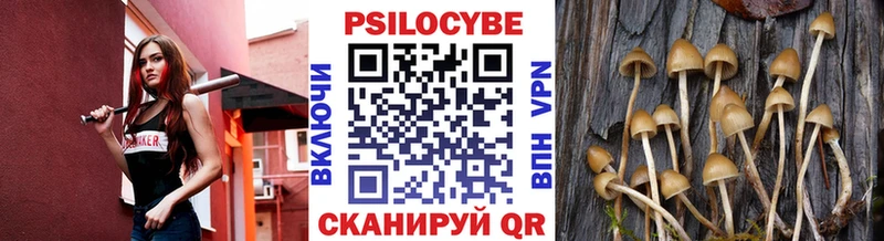 купить закладку  Нерехта  Псилоцибиновые грибы мухоморы 